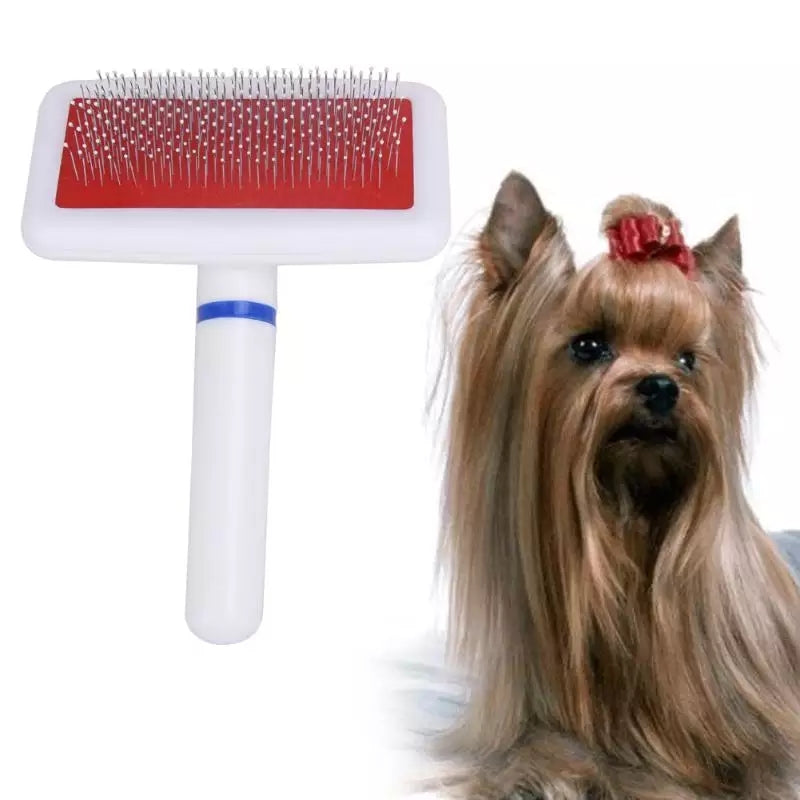 KEDİ KÖPEK TARAĞI
