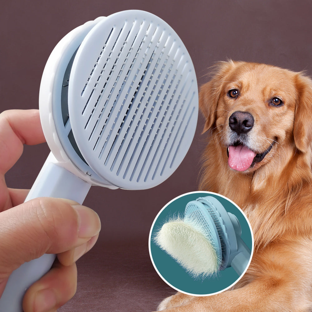 KEDİ KÖPEK TARAĞI